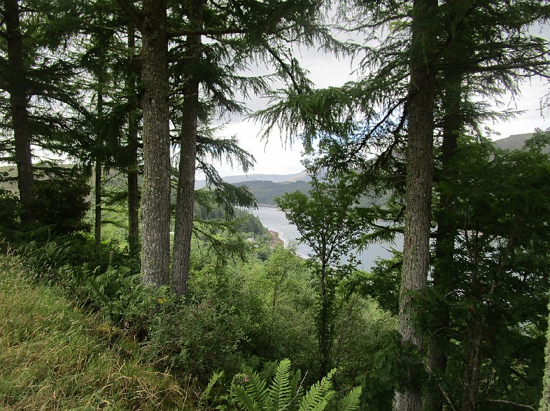 2018.07.16 ab in den Sueden Schottlands (2858).JPG